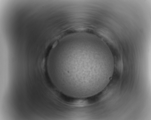 X0000096680319200802121217