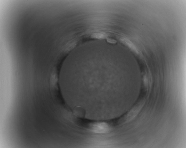 X0000096680322200802121217
