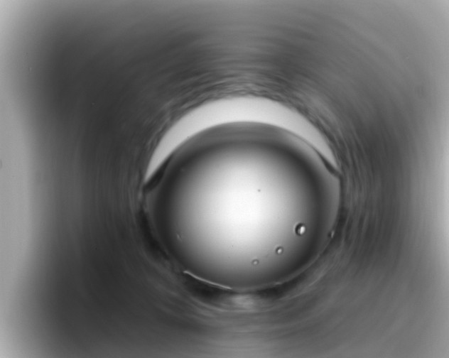X0000096680324200802121217