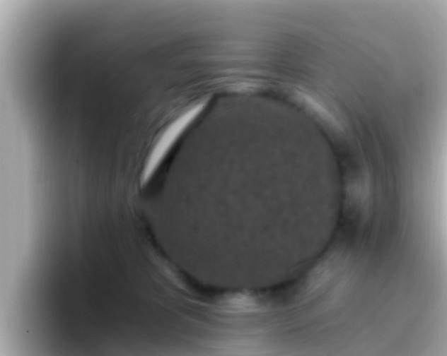 X0000096680325200802121217