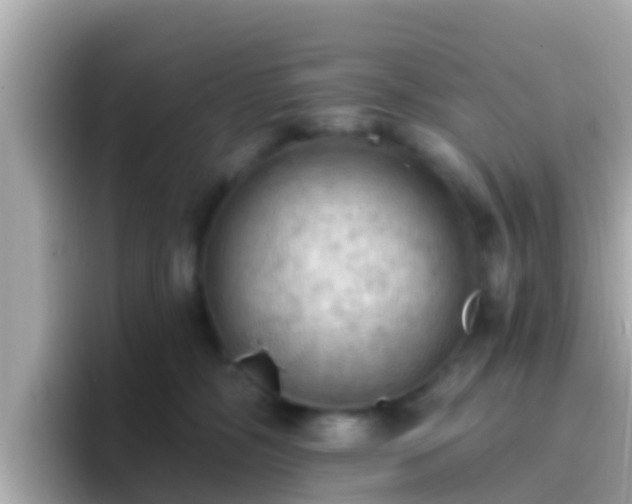 X0000096680326200802121217