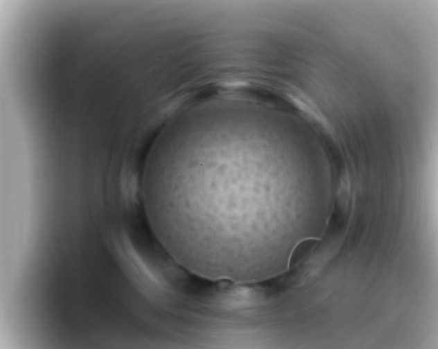 X0000096680330200802121217