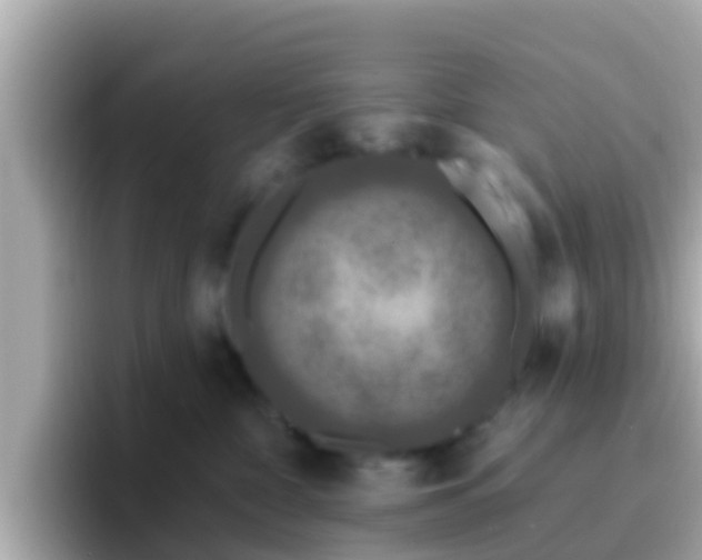X0000096680332200802121217
