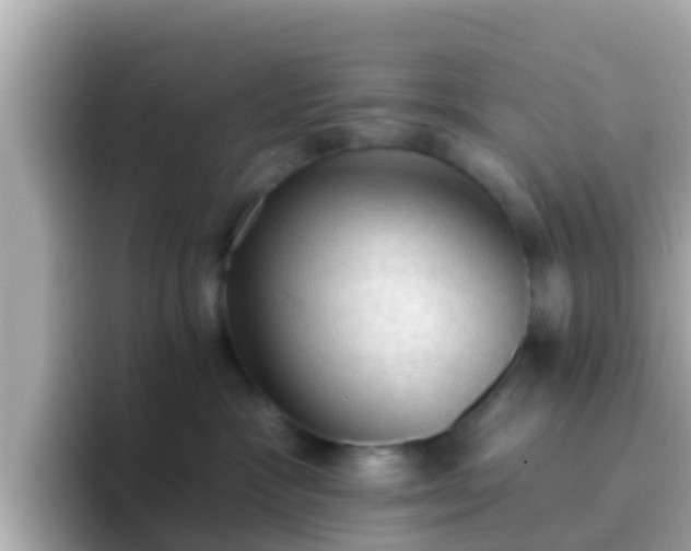 X0000096680333200802121217