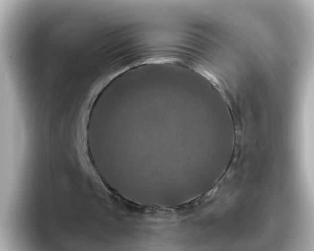 X0000096680337200802121216