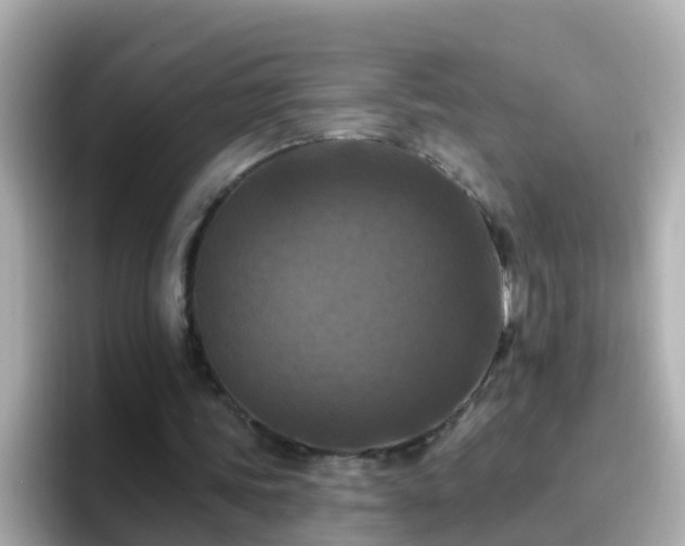 X0000096680339200802121216