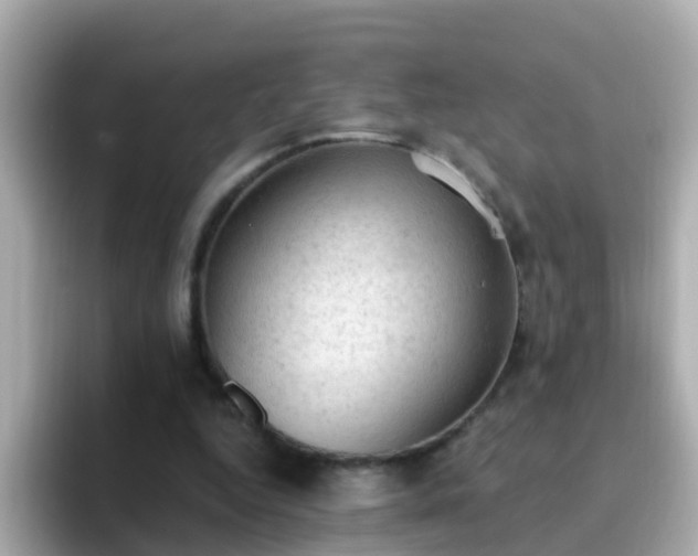 X0000096680344200802121216