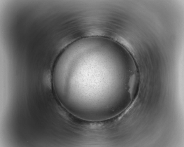 X0000096680345200802121216