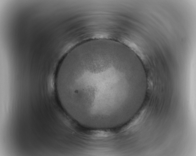 X0000096680347200802121216