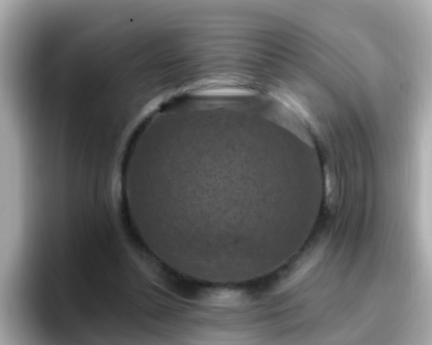 X0000096680348200802121216