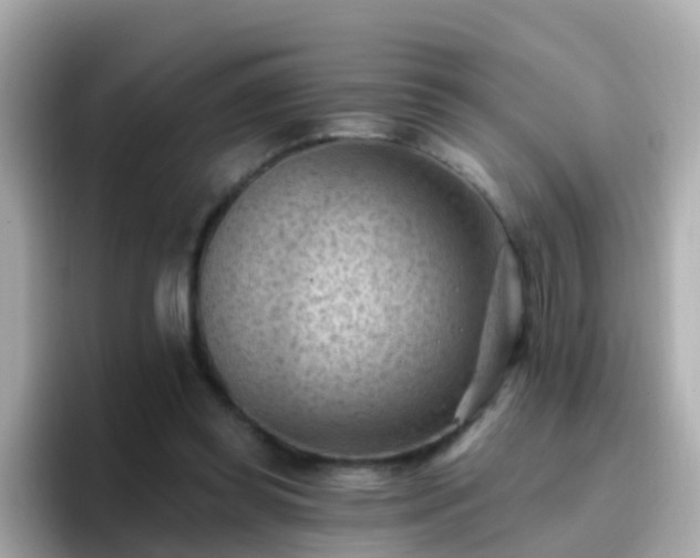 X0000096680349200802121216