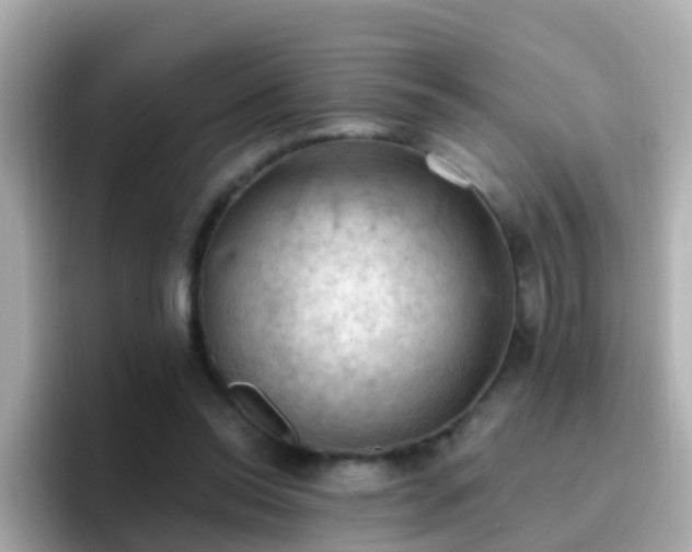X0000096680350200802121216