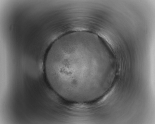 X0000096680351200802121216