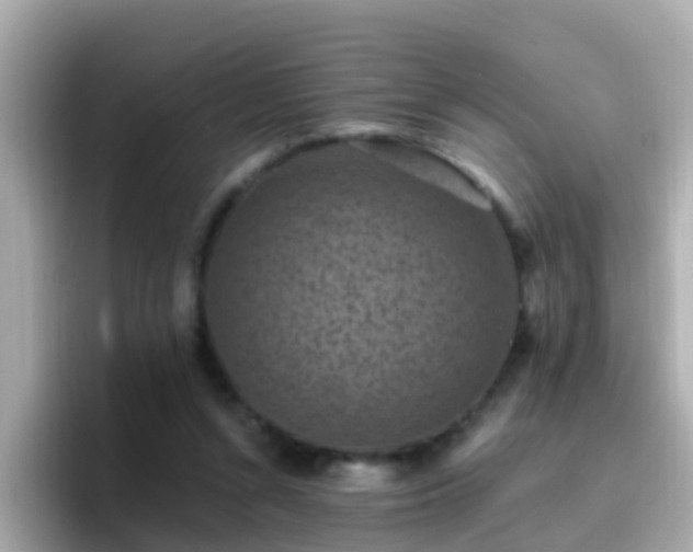 X0000096680352200802121216
