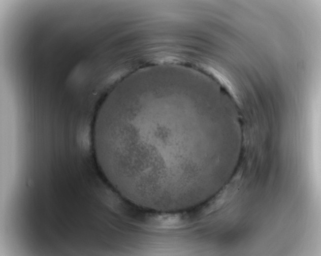 X0000096680353200802121216