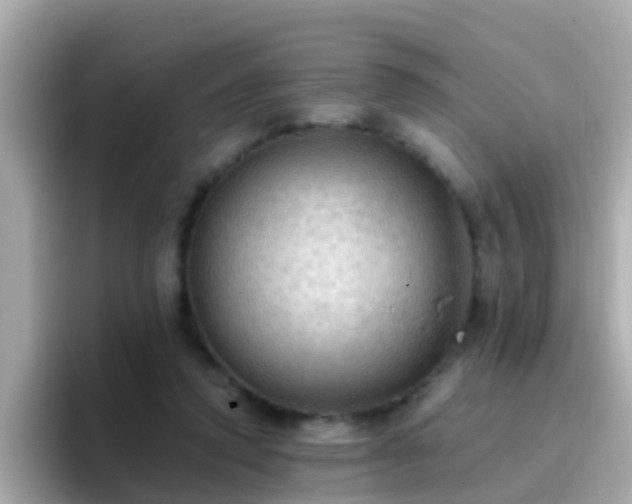 X0000096680354200802121216