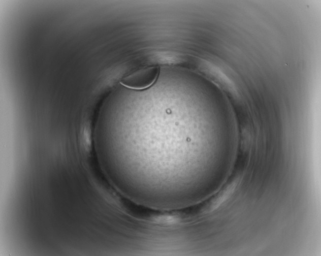 X0000096680358200802121216
