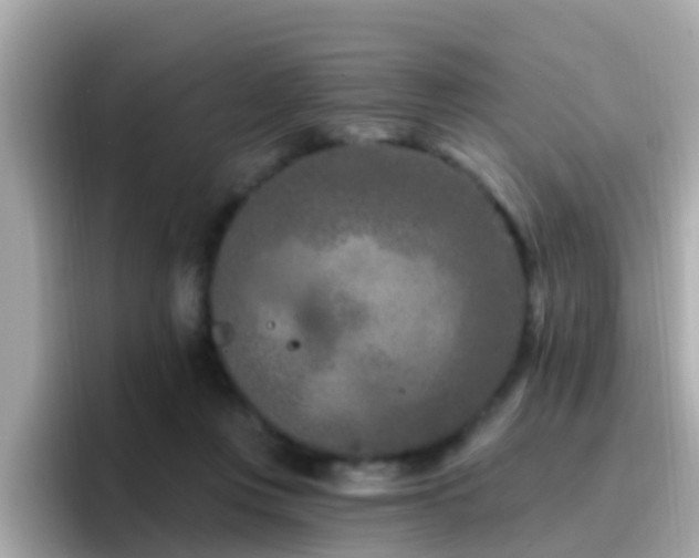 X0000096680359200802121216