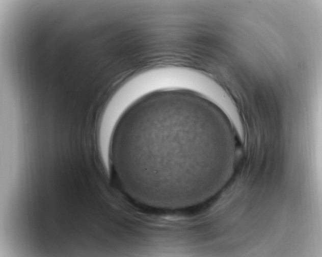 X0000096680360200802121216
