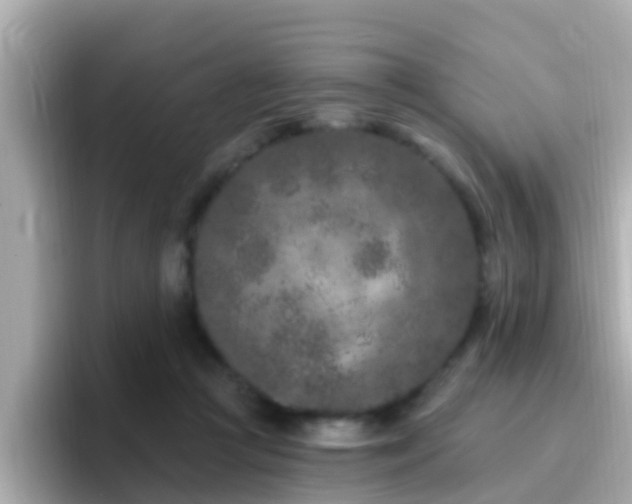 X0000096680361200802121216