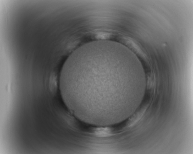 X0000096680363200802121216