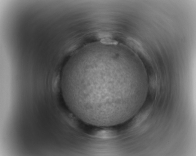 X0000096680364200802121216