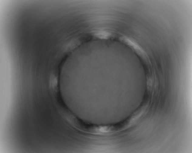 X0000096680365200802121216