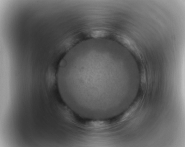 X0000096680367200802121216
