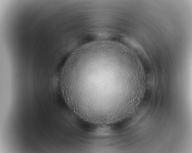 X0000096680369200802121216