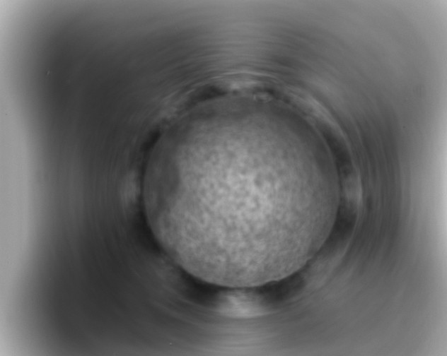 X0000096680372200802121216