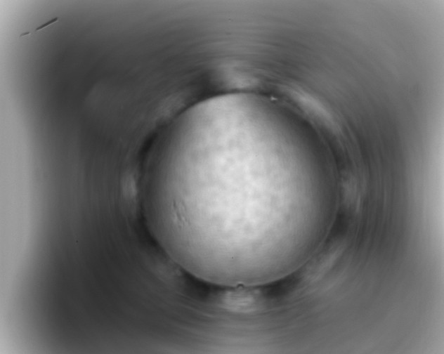 X0000096680373200802121216