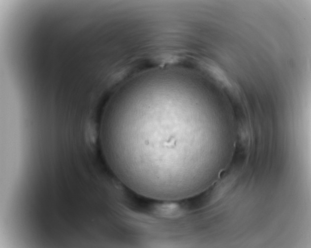 X0000096680374200802121217