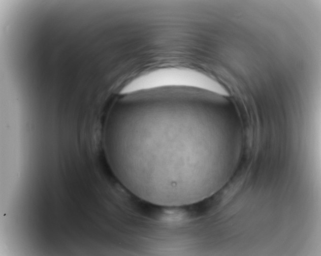 X0000096680376200802121217
