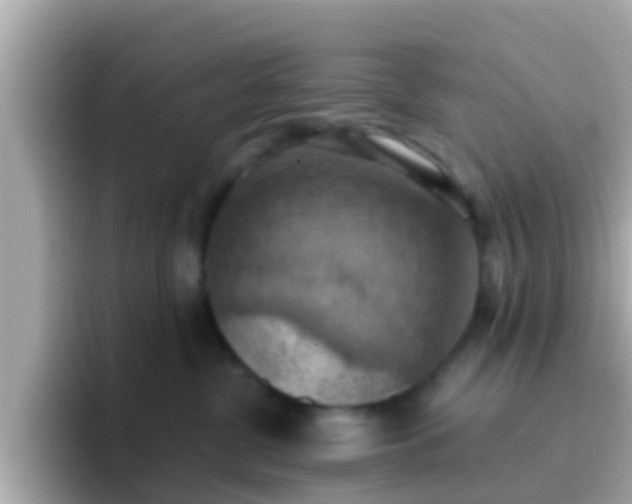 X0000096680380200802121217
