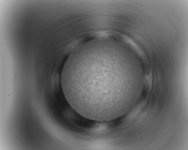 X0000096680381200802121217