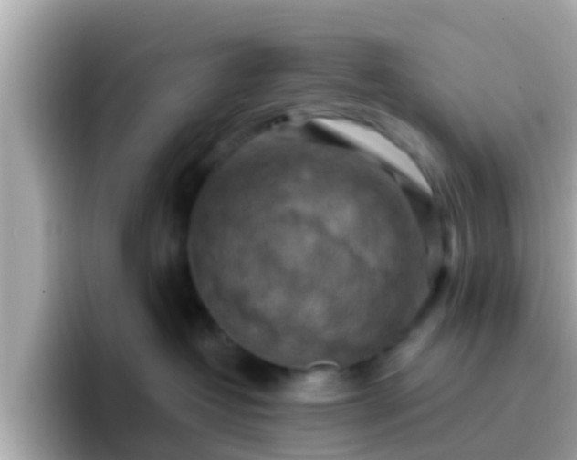 X0000096680382200802121217