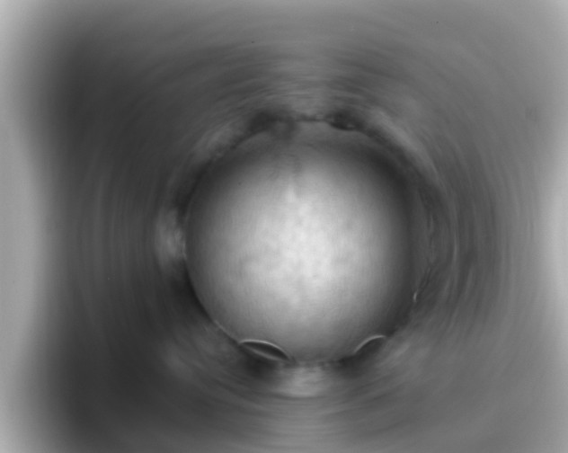 X0000096680384200802121217