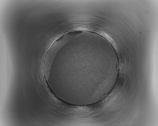 X0000096680385200802121216
