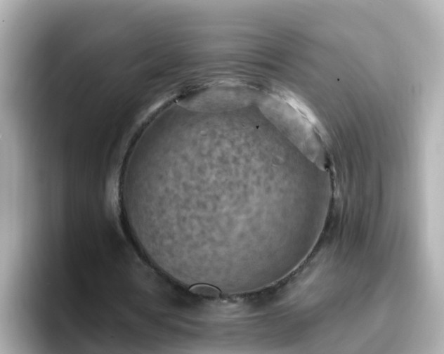 X0000096680386200802121216