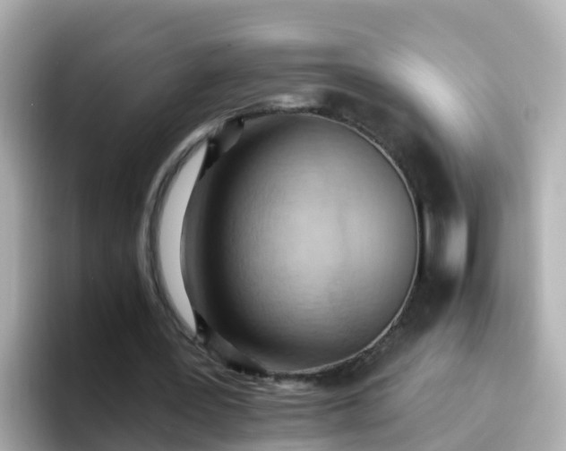 X0000096680387200802121216