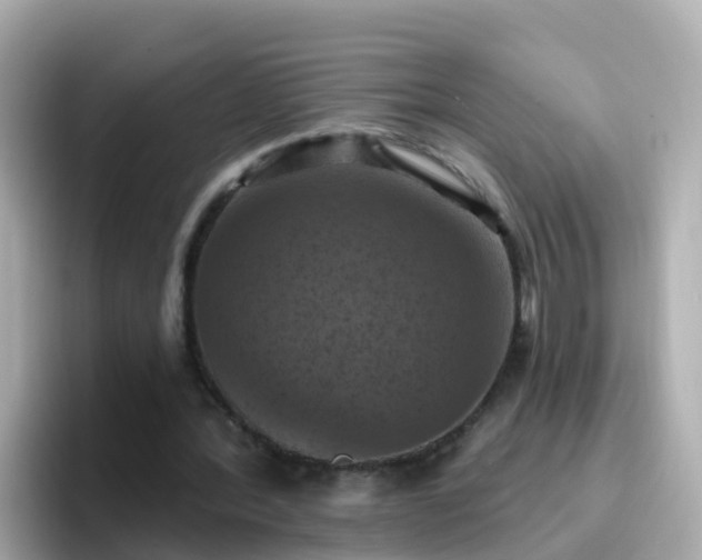 X0000096680388200802121216