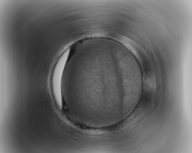 X0000096680389200802121216