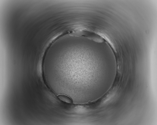 X0000096680390200802121216