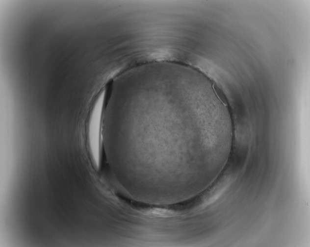 X0000096680393200802121216