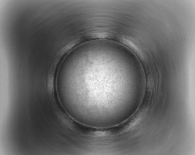 X0000096680394200802121216