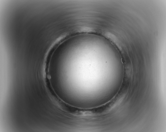 X0000096680395200802121216
