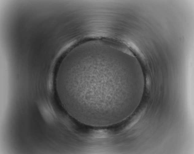 X0000096680396200802121216