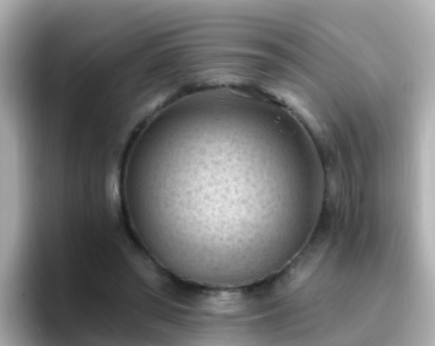 X0000096680398200802121216