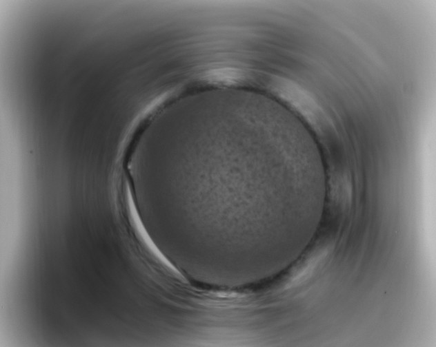 X0000096680399200802121216