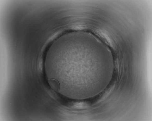 X0000096680400200802121216